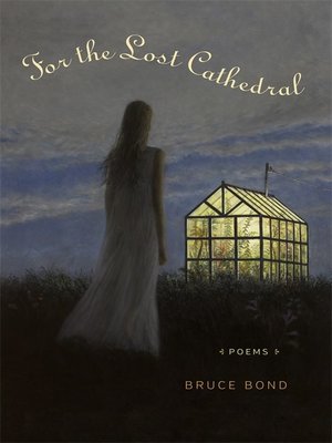 cover image of For the Lost Cathedral